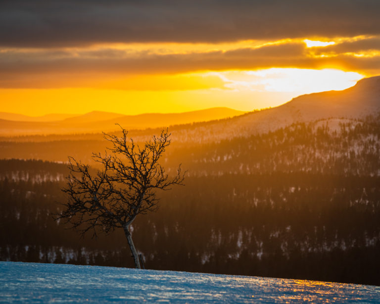 Valdalsfjellet, Hedmark fylke, Norge