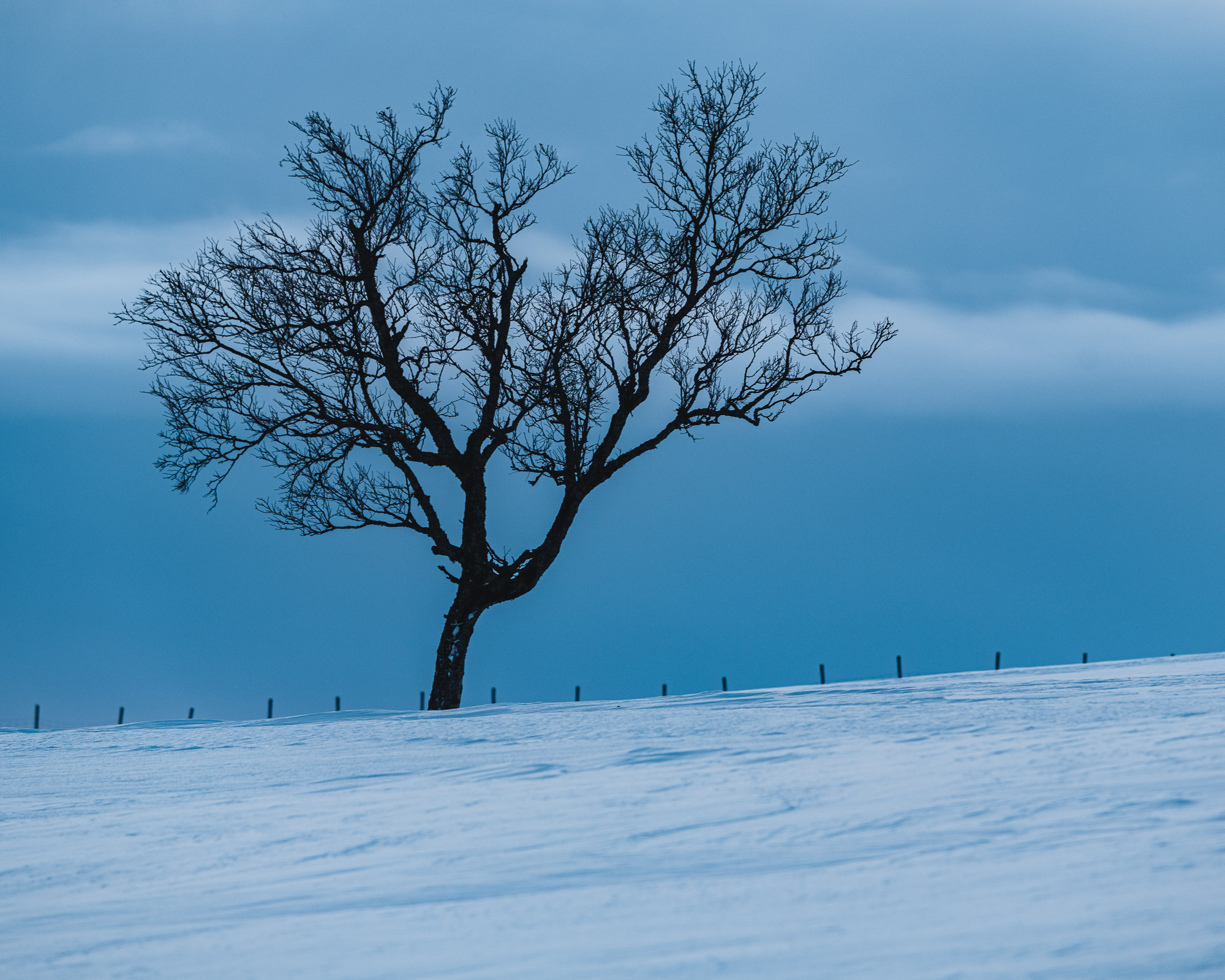 Grövelsjöfjällen, Dalarna