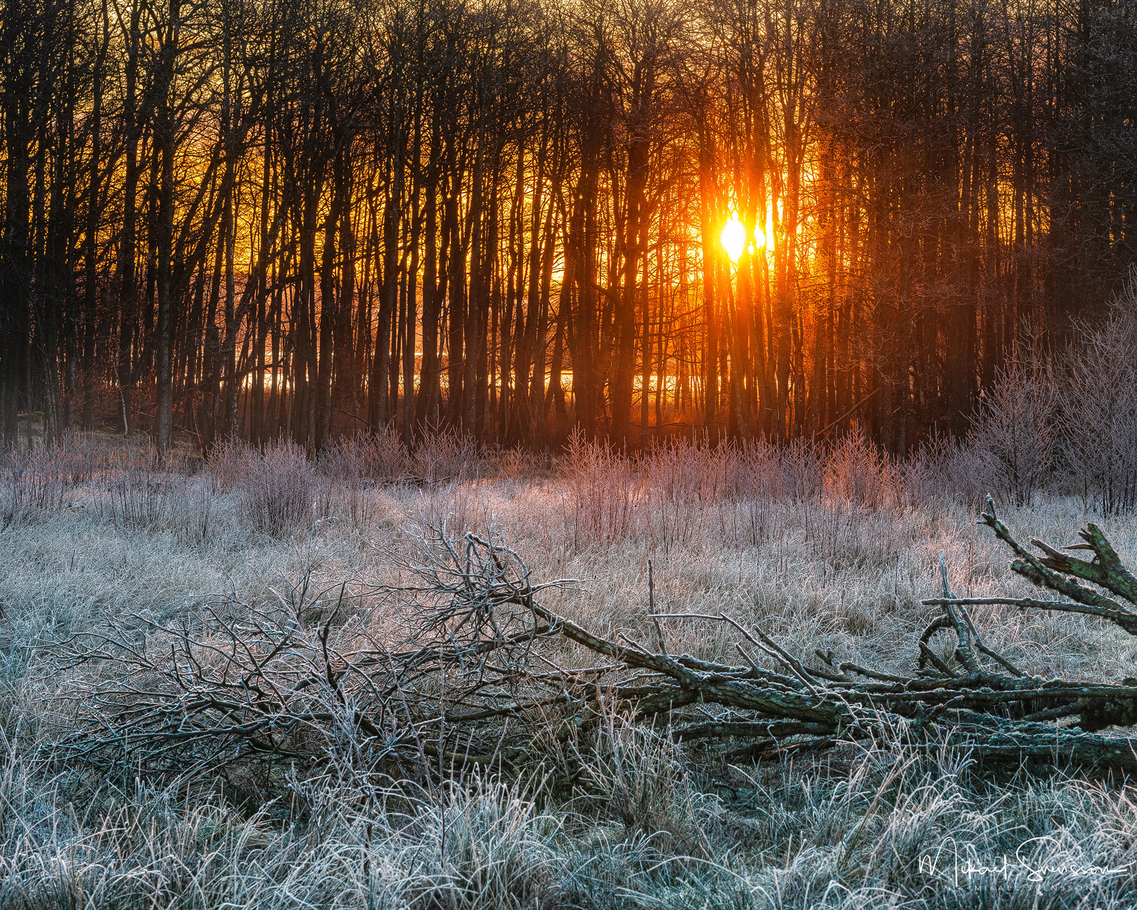 Soluppgång vid Gunnebo Kulturreservat, Mölndal.
