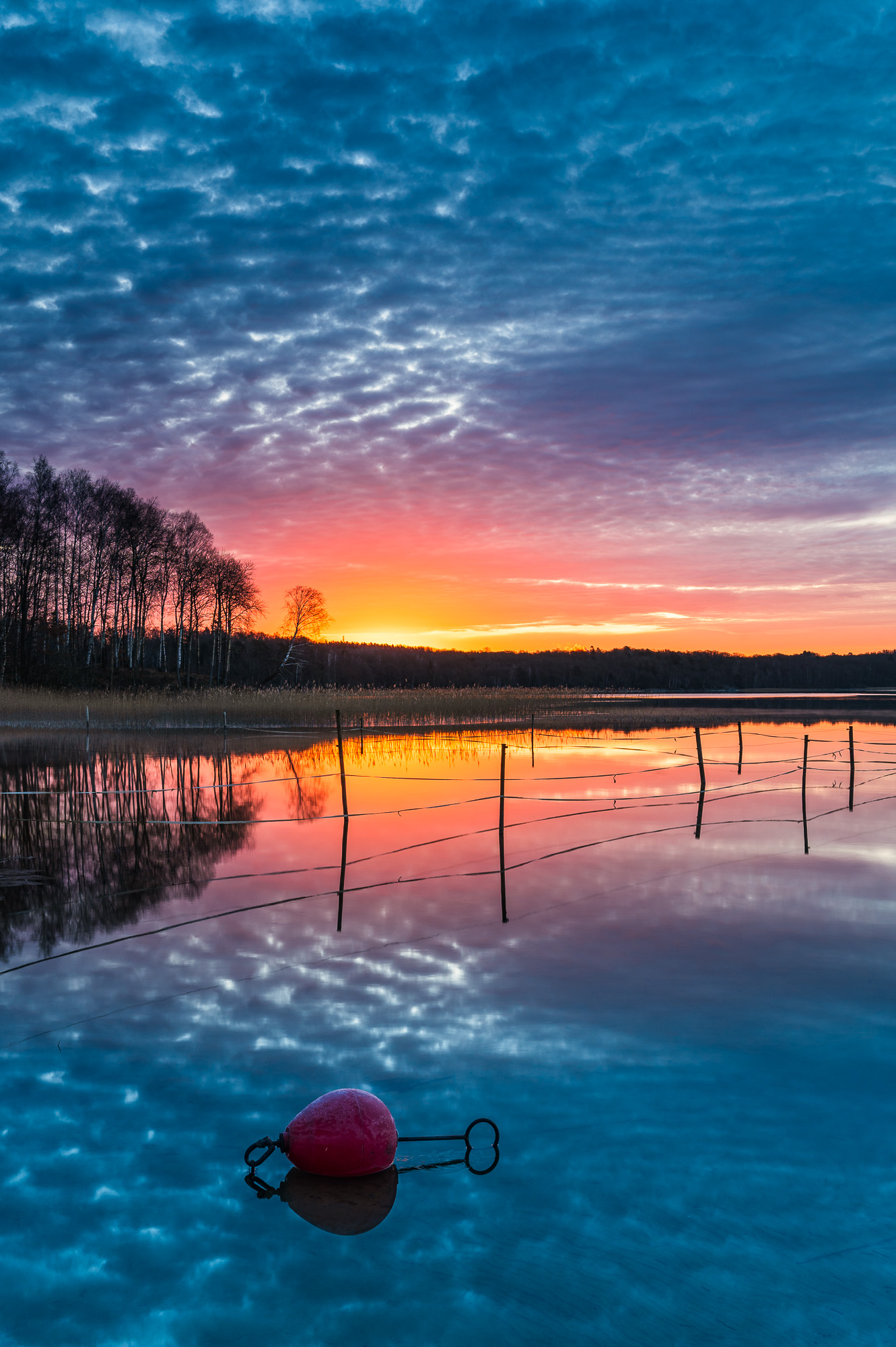 Soluppgång vid Rådasjön, Mölndal.