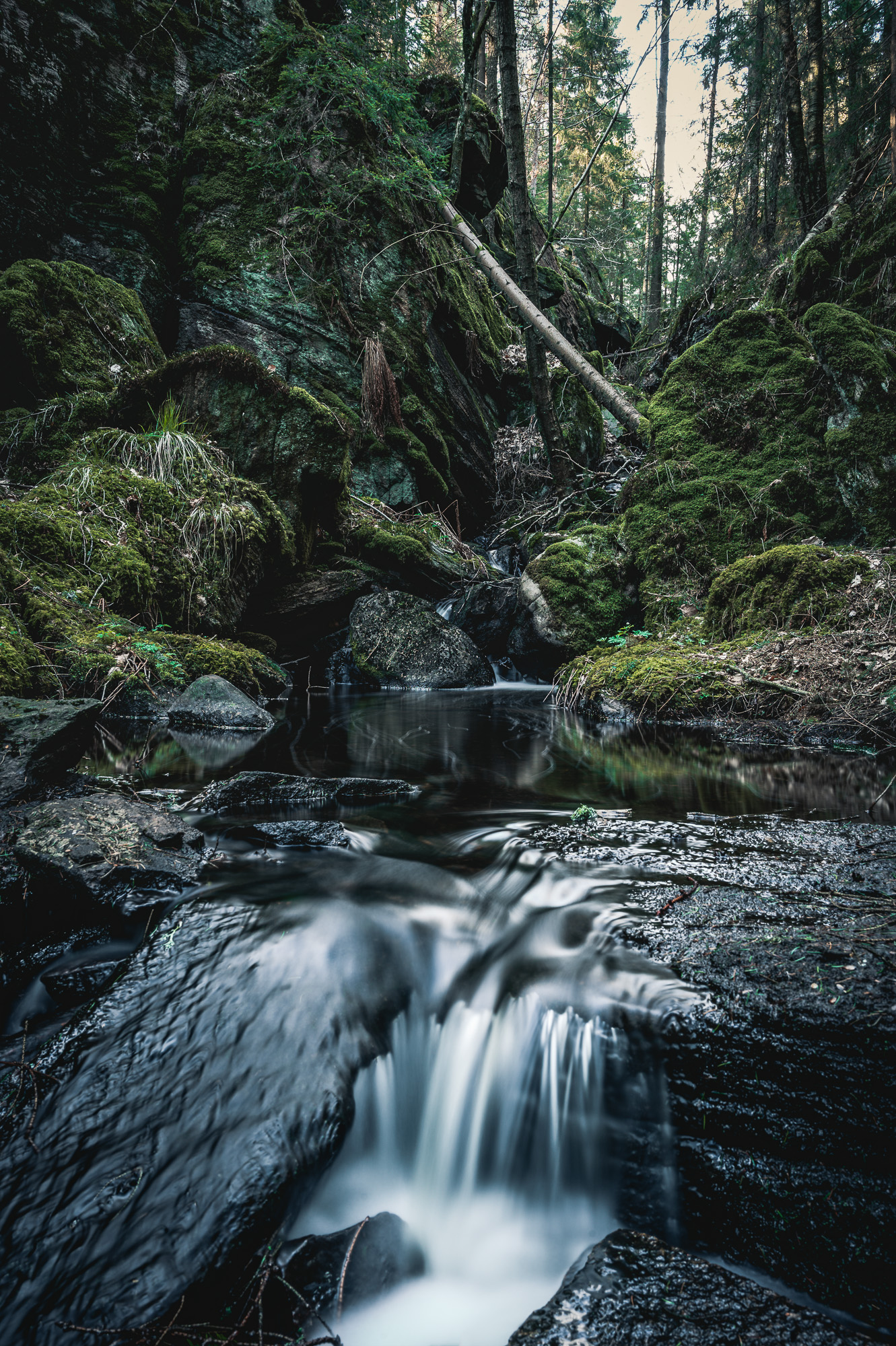 Bråtaskogen, Härryda kommun.