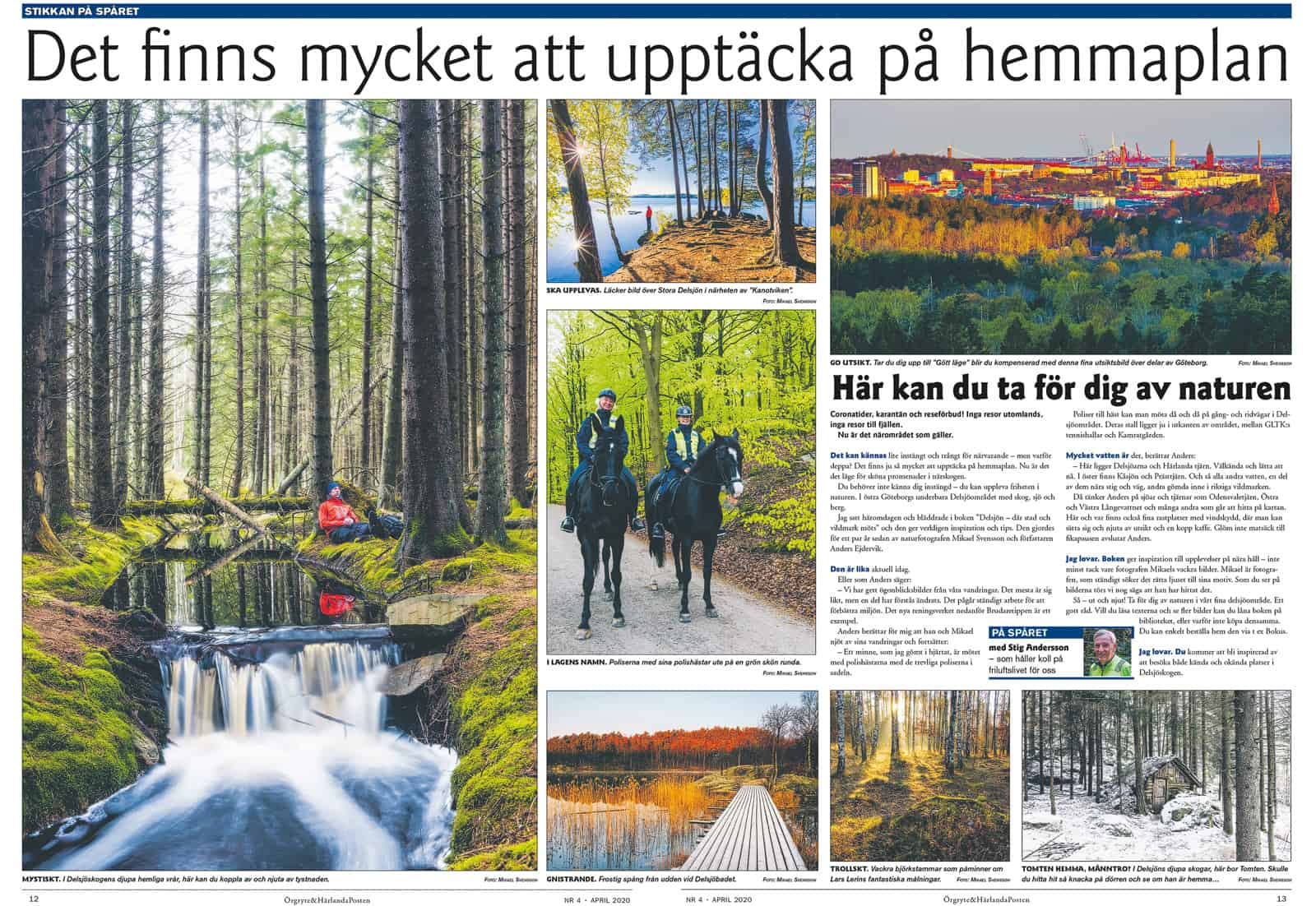 Det finns mycket att upptäcka på hemmaplan