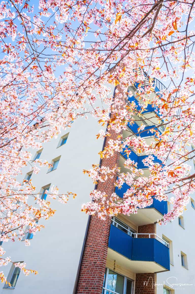 Bosgården, Mölndal.