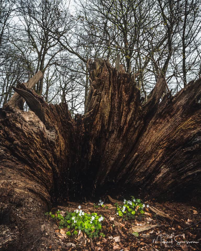 Lackarebäck, Mölndal.