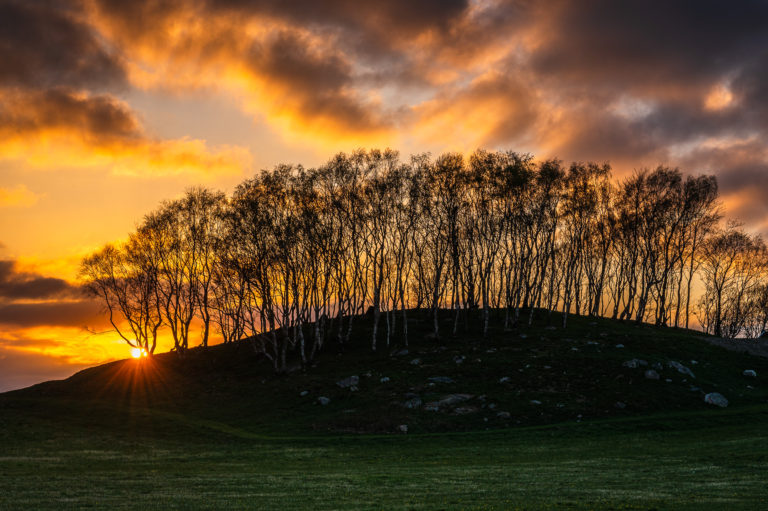 Solnedgång vid Eklanda, Mölndal.