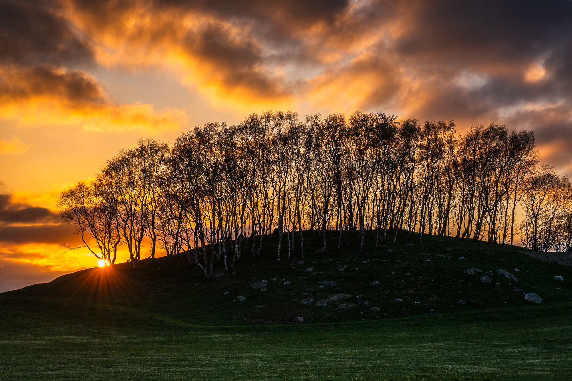 Solnedgång vid Eklanda, Mölndal.