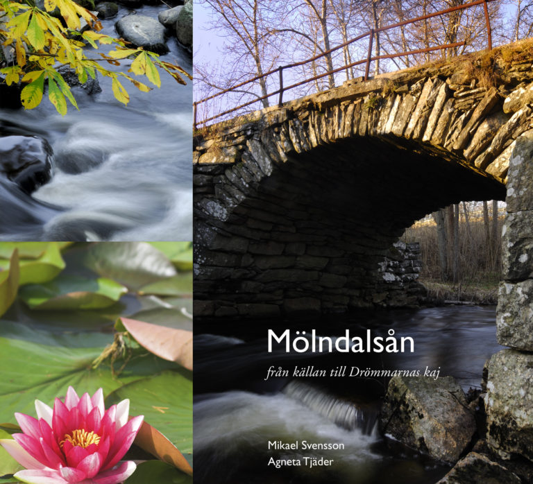 Mölndalsån från källan till Drömmarnas kaj