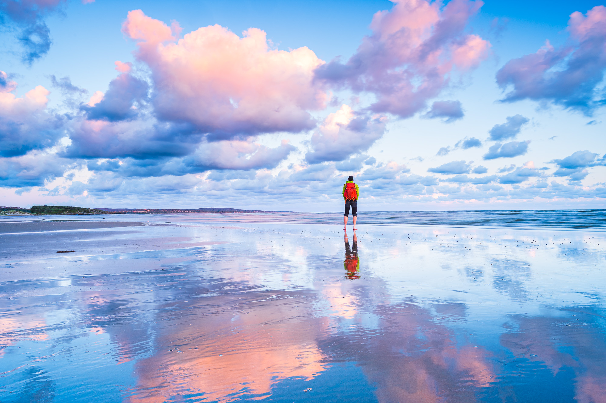 Grimsholmen naturreservat, Halland