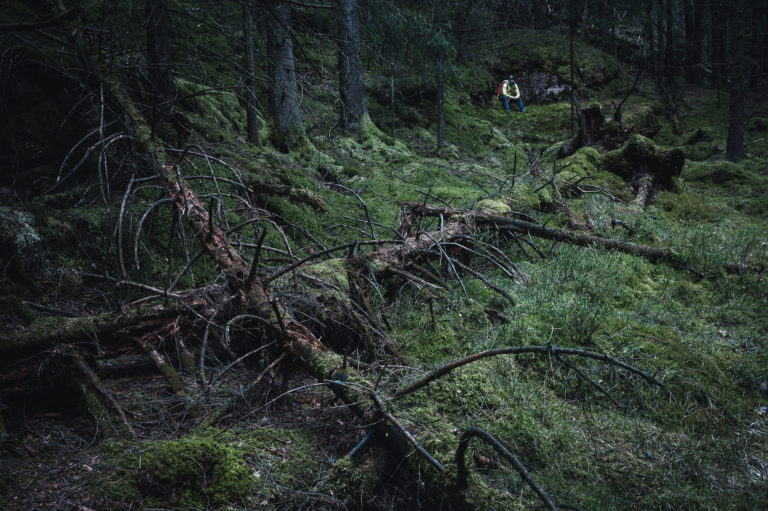 Bråtaskogen, Härryda kommun