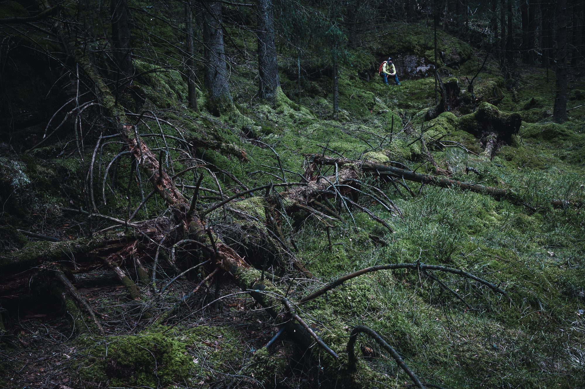 Bråtaskogen, Härryda kommun