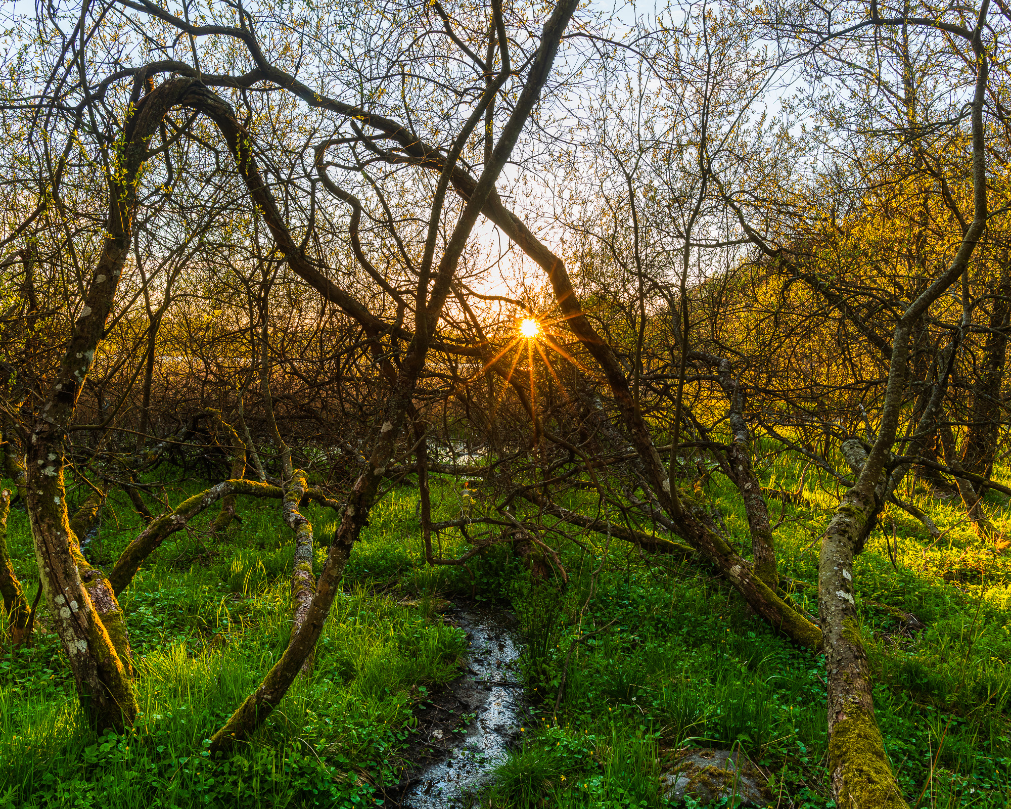 Gunnebo Kulturreservat, Mölndal