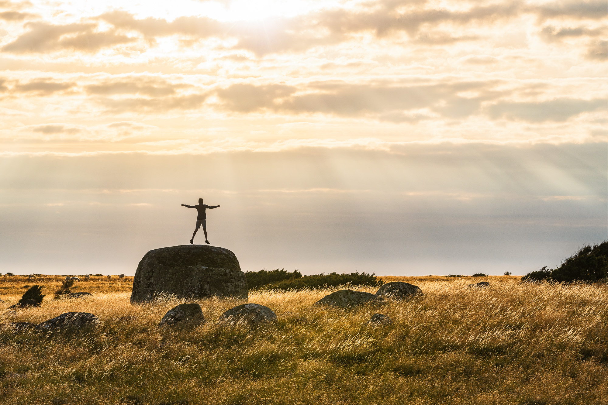 Malön naturreservat, Halland