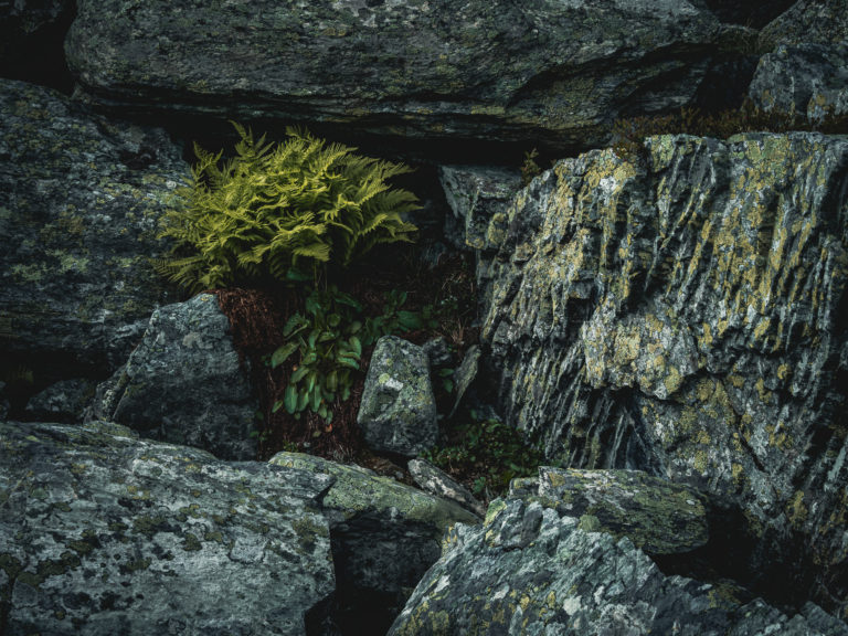 Vättafjället, Härjedalen