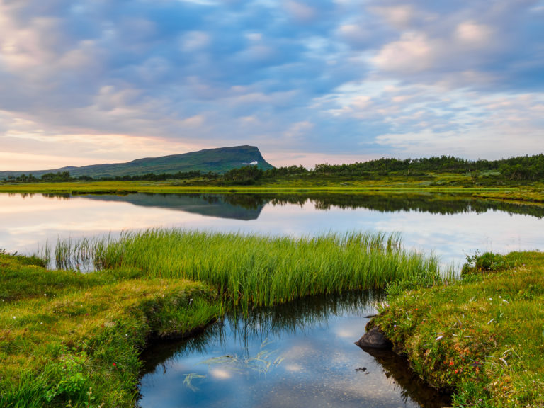 Fålåtjärnen, Härjedalen