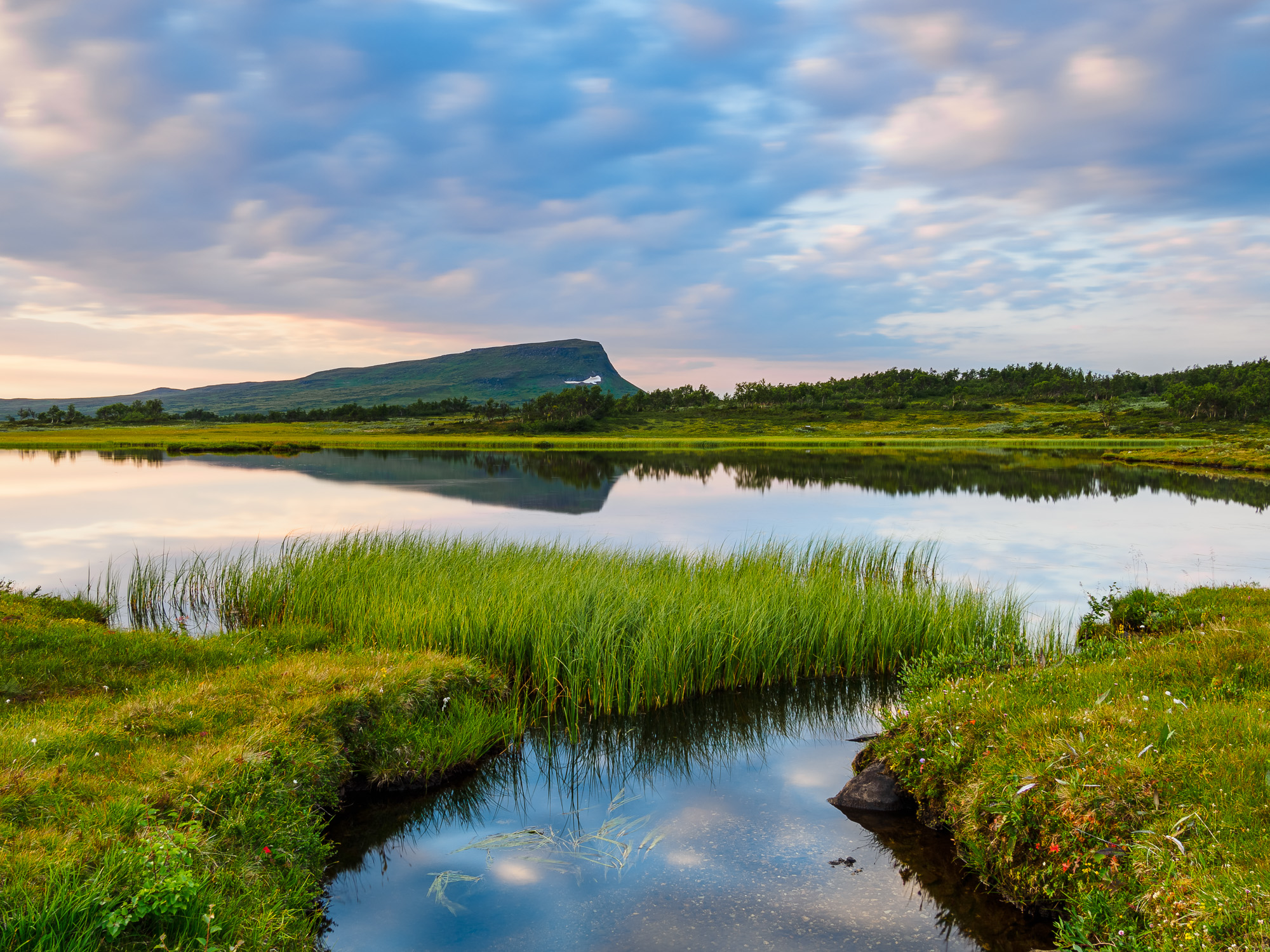 f-l-tj-rnen-h-rjedalen-fotograf-mikael-svensson
