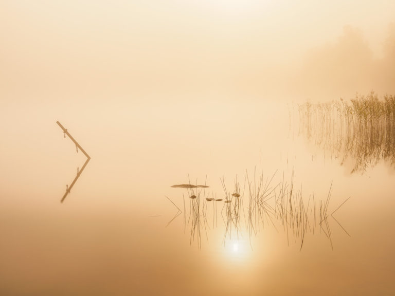 Soluppgång vid Västra Ingsjön, Mölndal