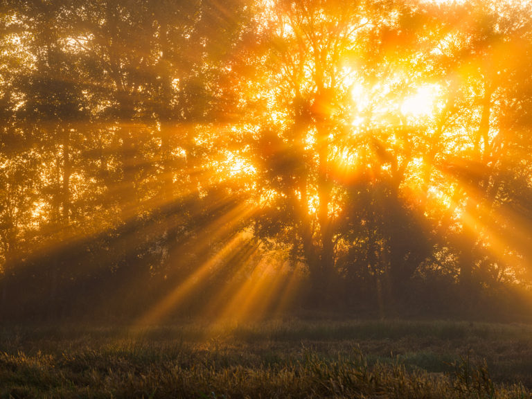 Soluppgång vid Hällesåker, Mölndal.