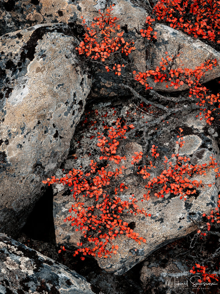 Ånnfjället, Härjedalen.