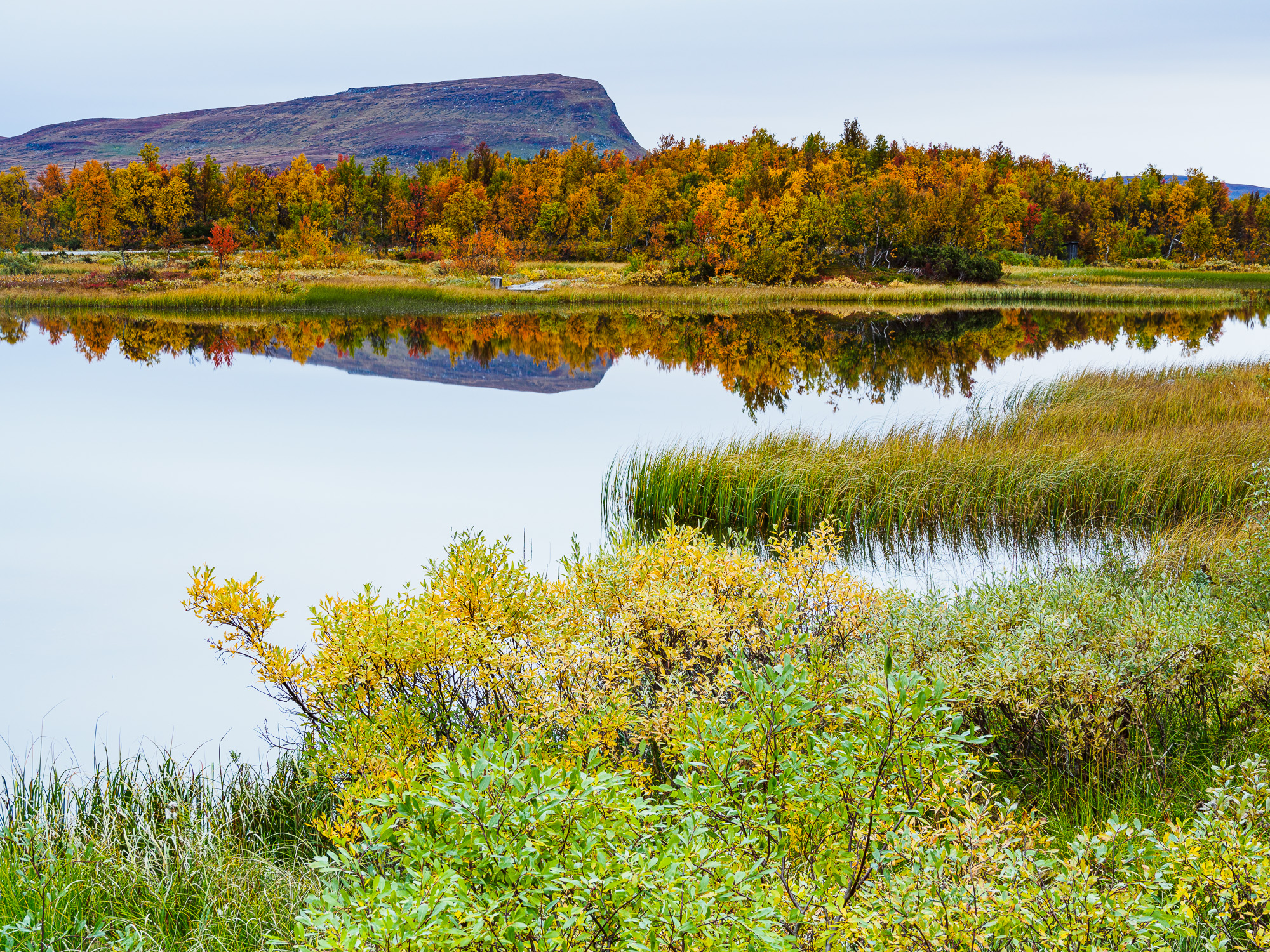 Messmörtjärn, Härjedalen