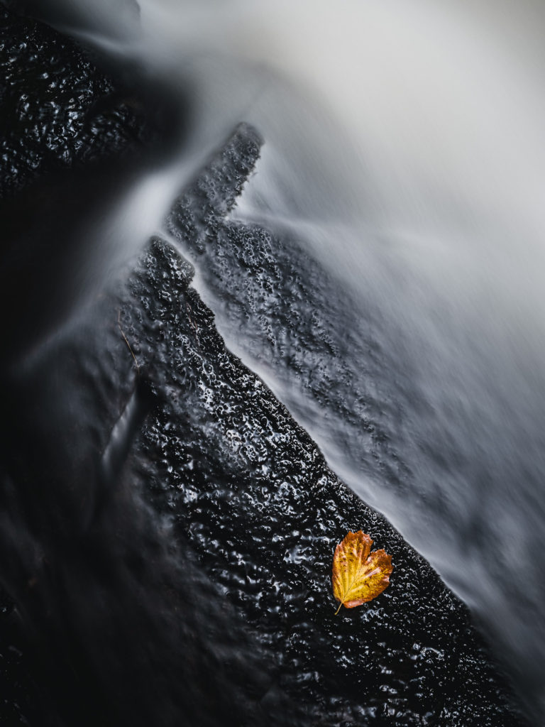 Höstlöv vid Tvärån, Härryda kommun