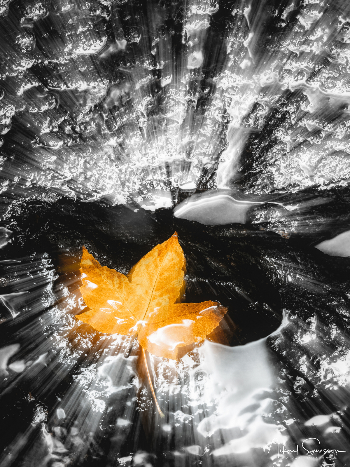 Svejserdalen, Mölndal.