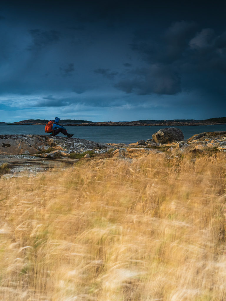 Vallda Sandö Naturreservat, Kungsbacka kommun