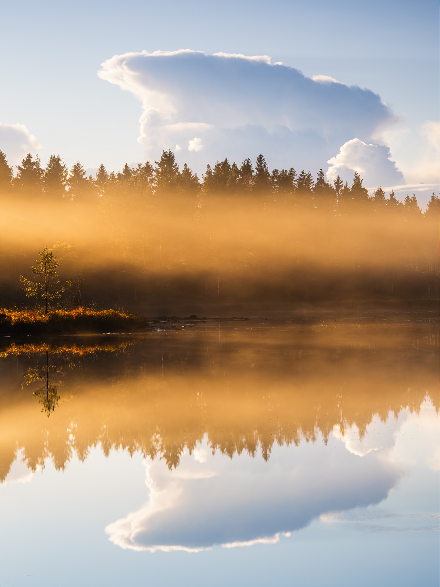 Svartedalen, Lilla Edets kommun