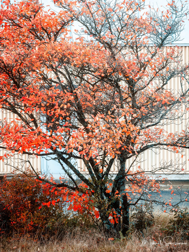 Åbro industriområde, Mölndal