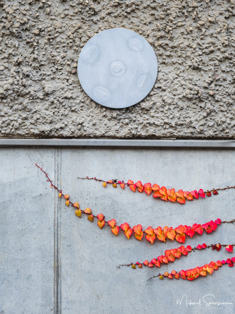 Sofierogatan, Göteborg