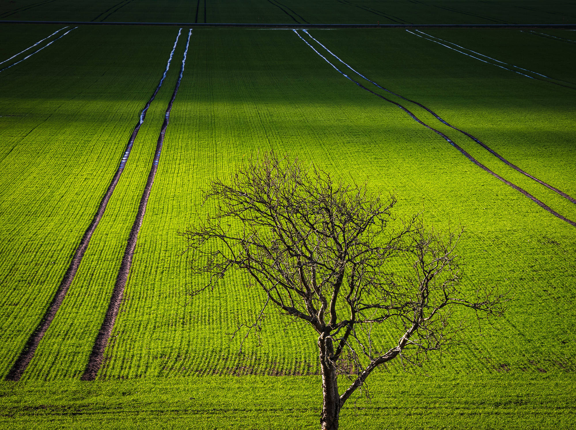 Fjärås, Kungsbacka kommun