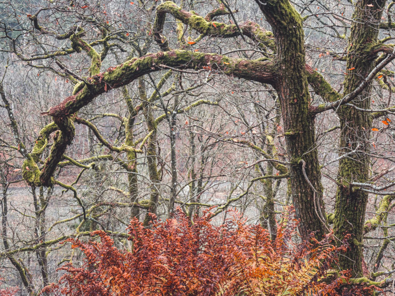 Kållered, Mölndal.