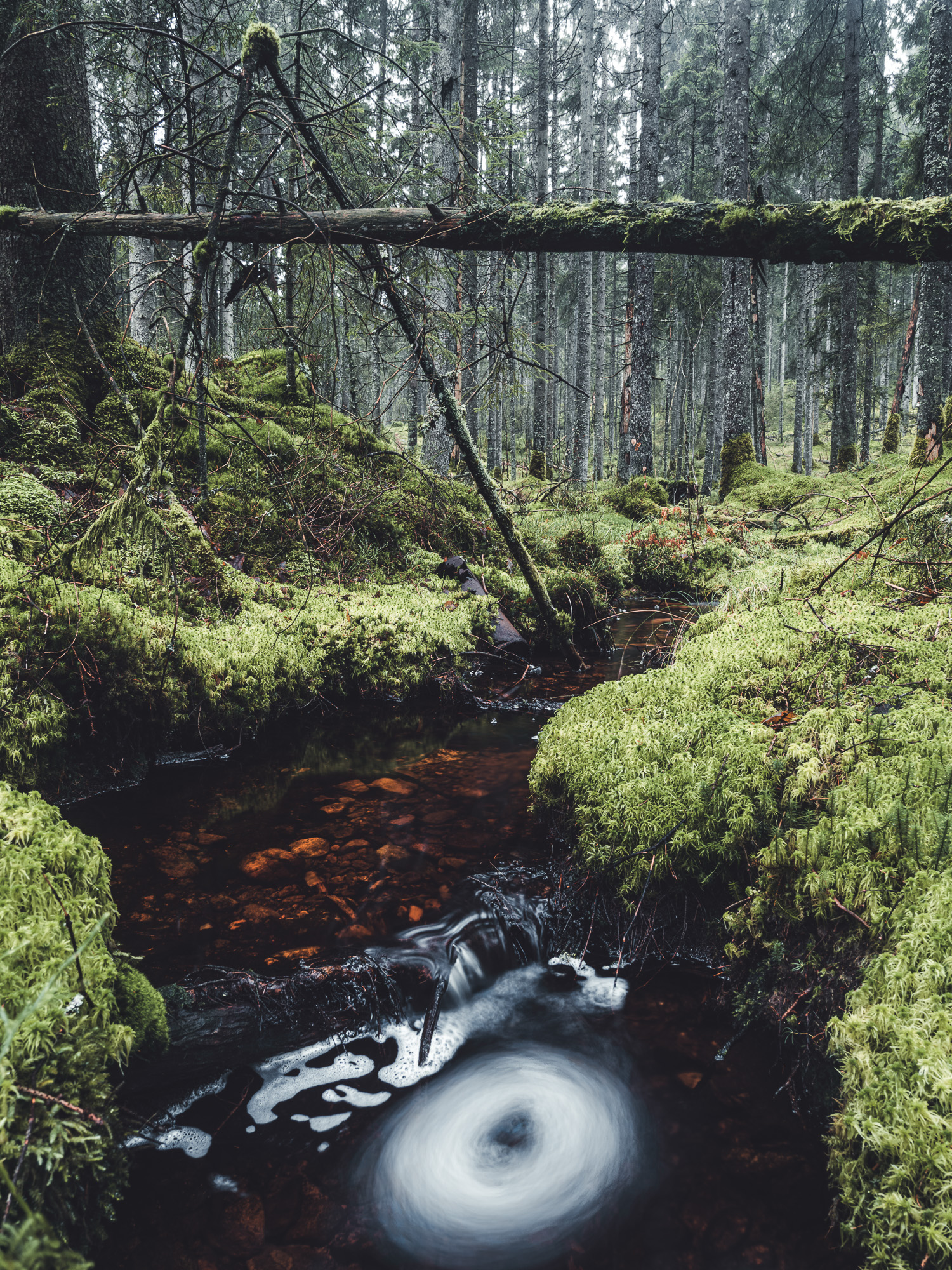 Klippans Naturreservat, Härryda kommun.