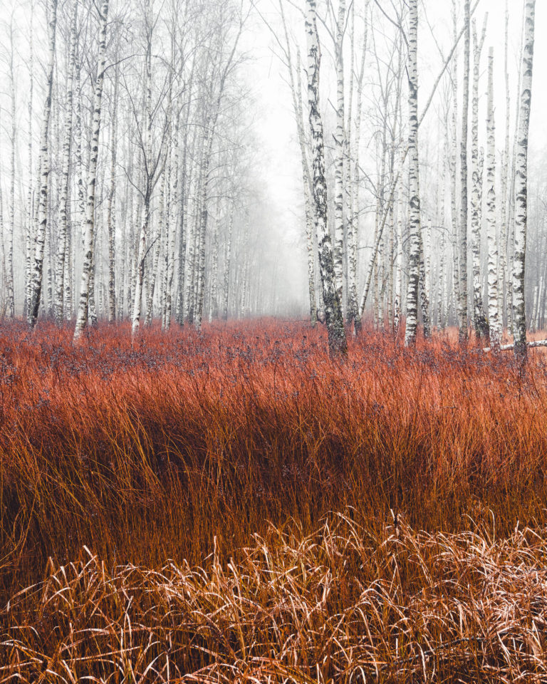 Gunnebo Kulturreservat, Mölndal.