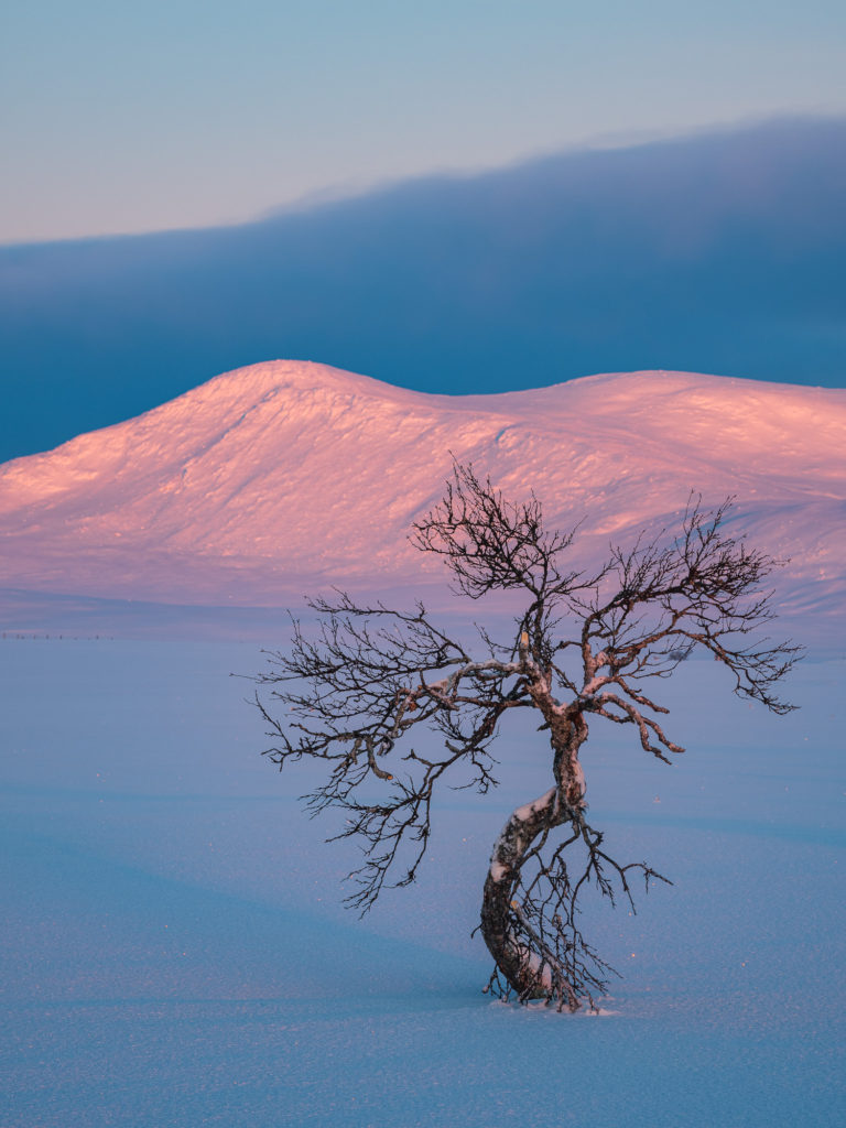 Grövelsjöfjällen, Dalarna