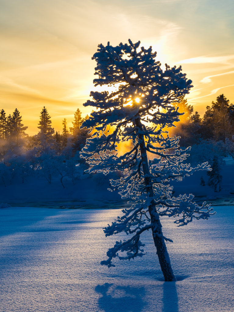 Grövelsjöfjällen, Dalarna.