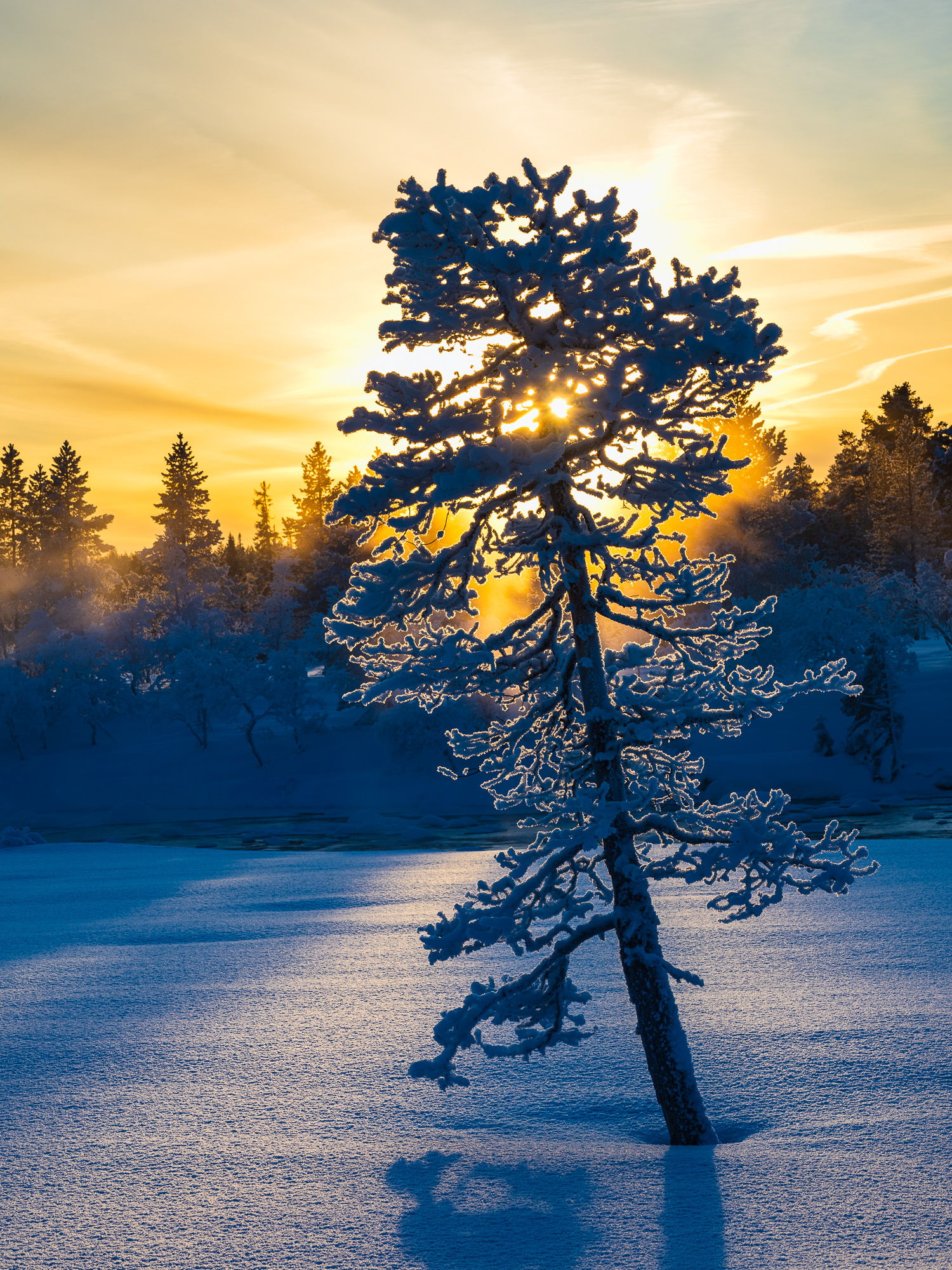 Grövelsjöfjällen, Dalarna.