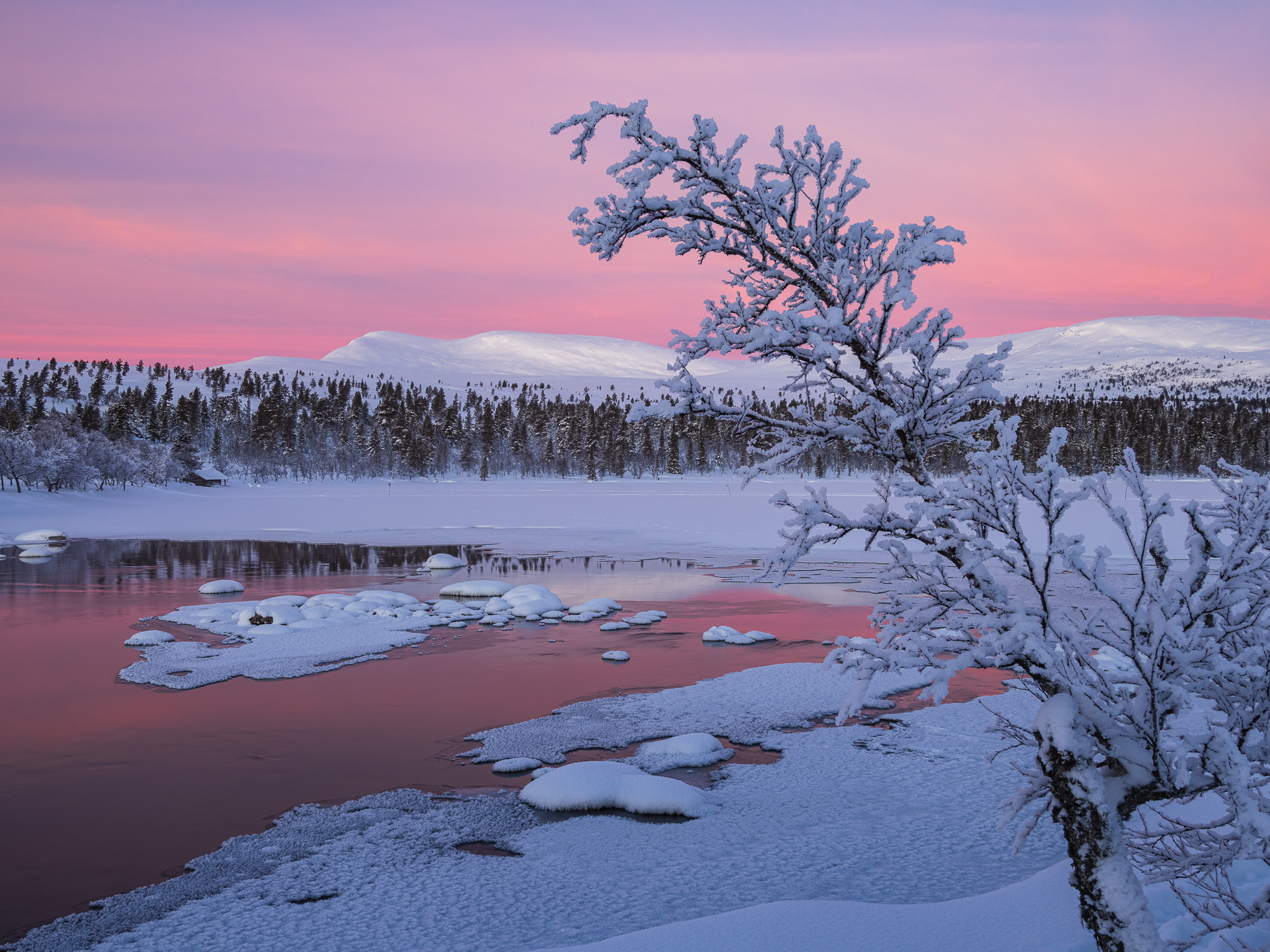 Gryning vid Grövelsjön, Dalarna.