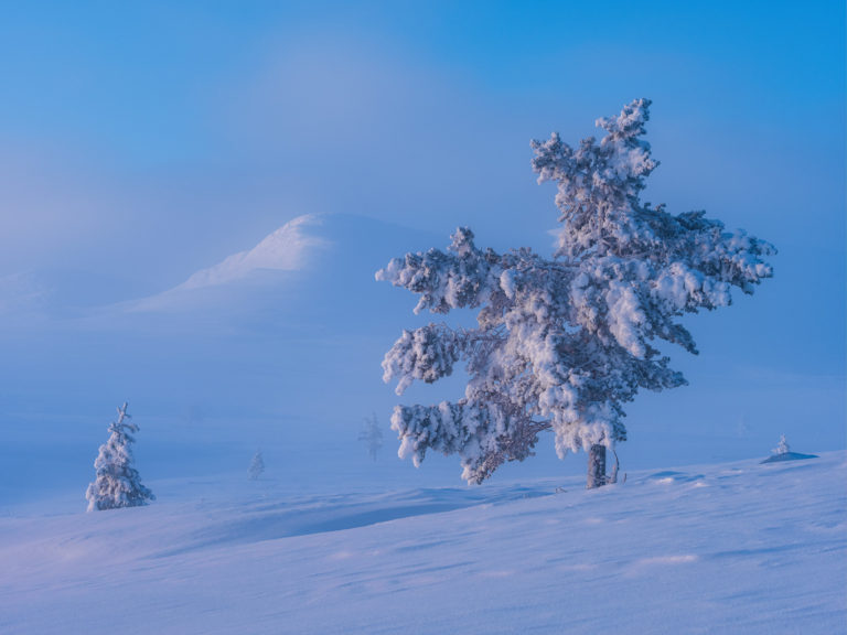 Grövelsjöfjällen, Dalarna