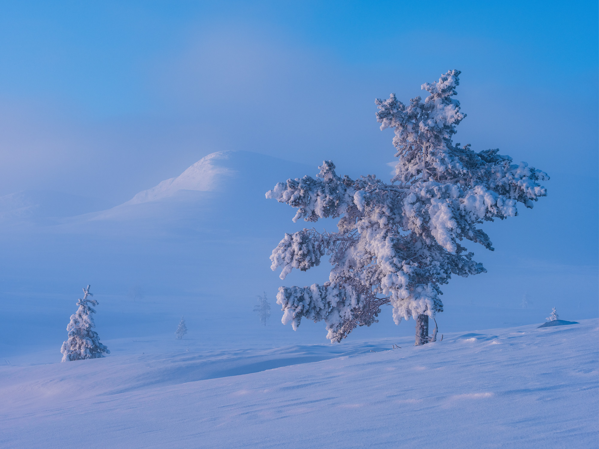 Grövelsjöfjällen, Dalarna