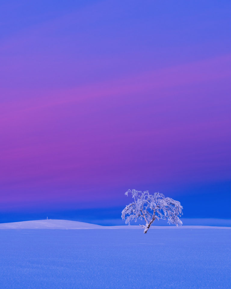 Grövelsjöfjällen, Dalarna.