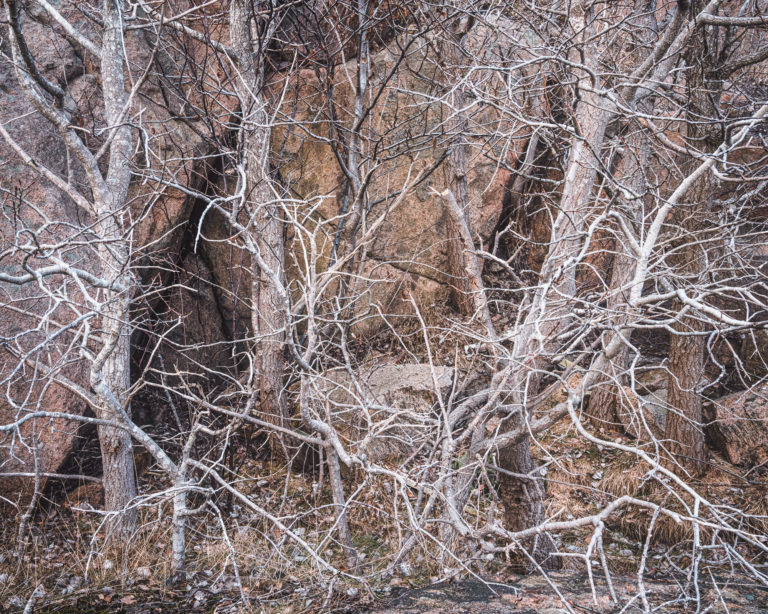 Västerberget, Mölndal.