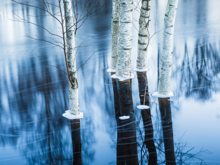 Månadens bild Februari 2021