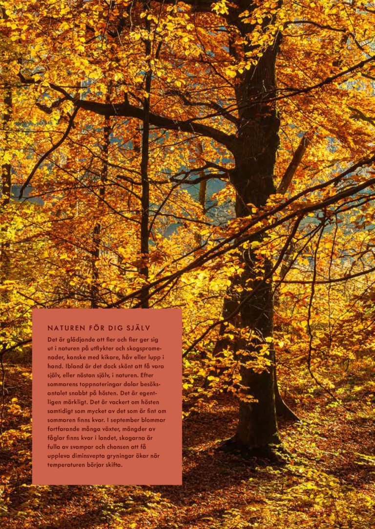 Bild med i boken "Ut i naturen"
