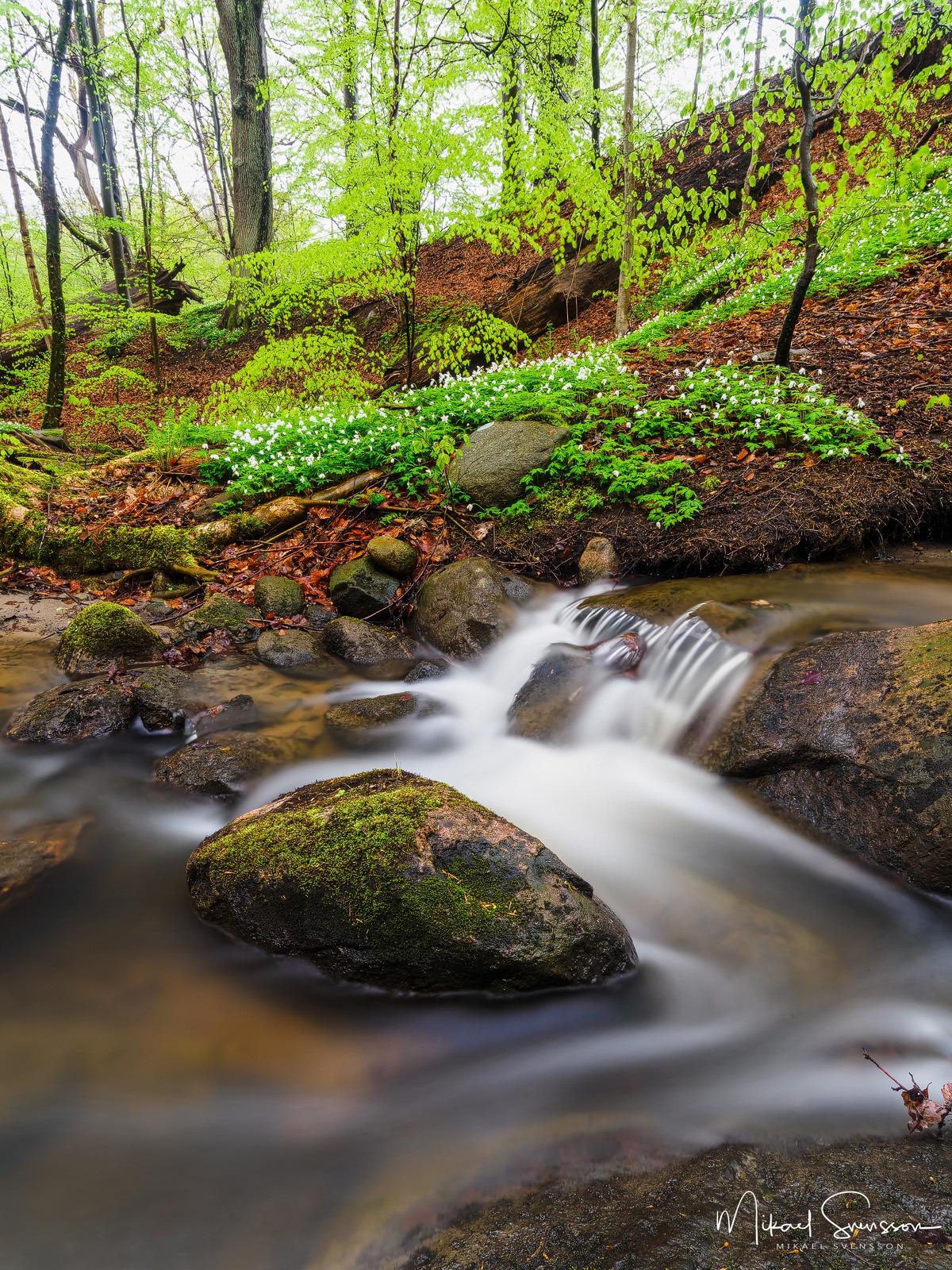 lackareb-ck-m-lndal-fotograf-mikael-svensson