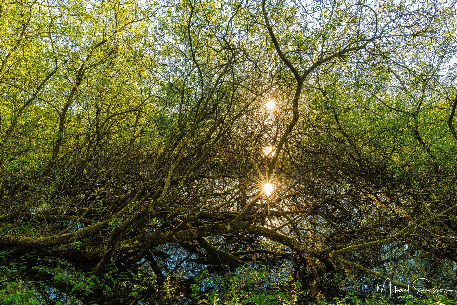 Gunnebo kulturreservat, Mölndal.
