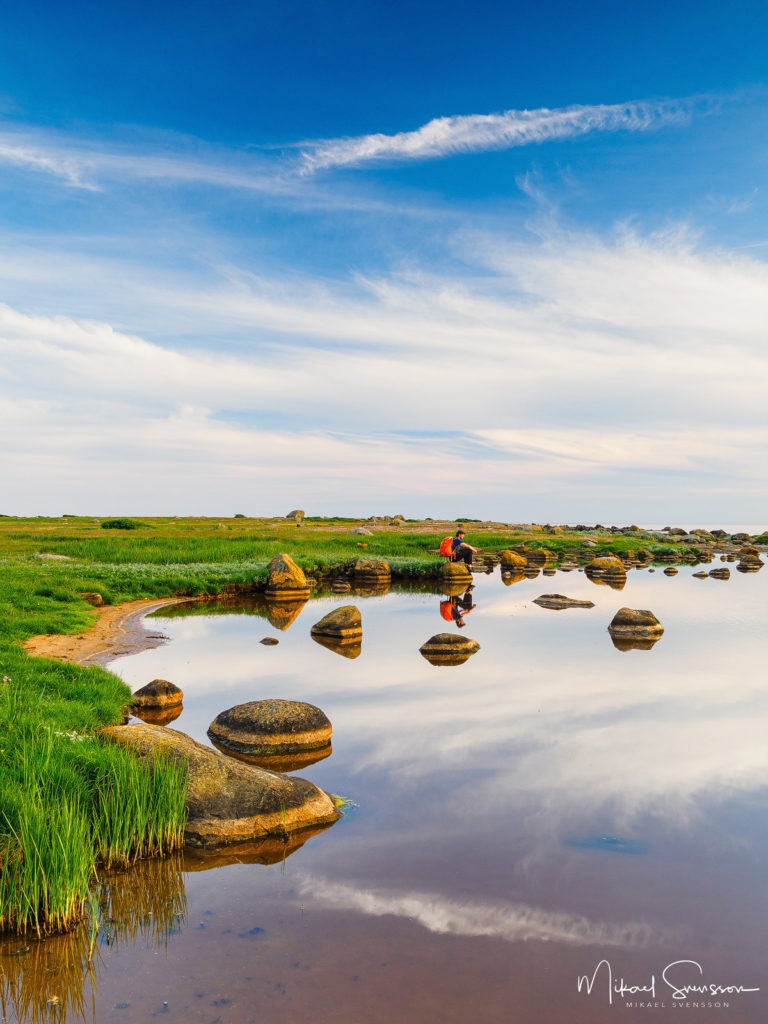 Gamla Varberg naturreservat, Varbergs kommun.