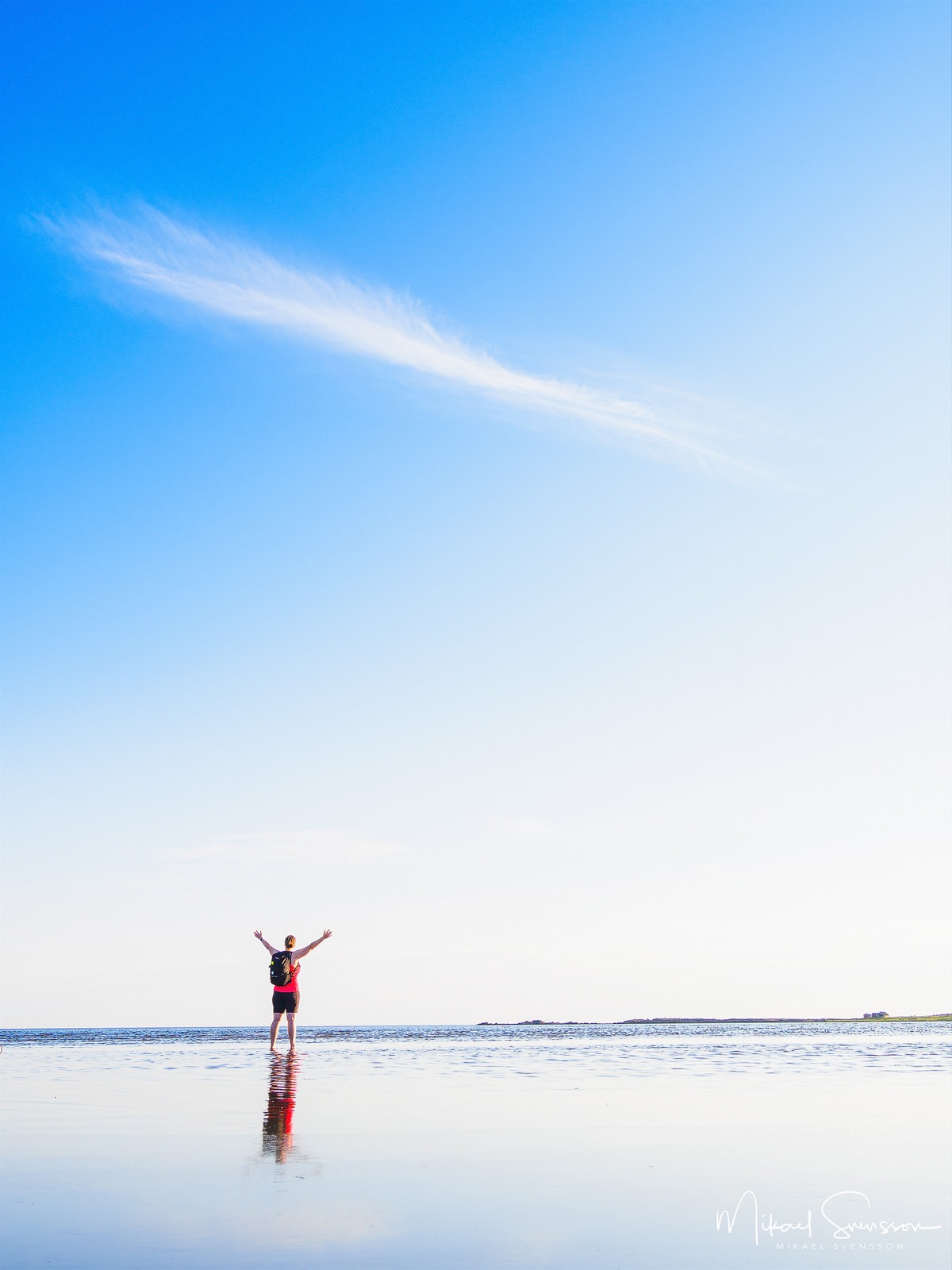 Grimsholmen naturreservat, Falkenbergs kommun, Halland
