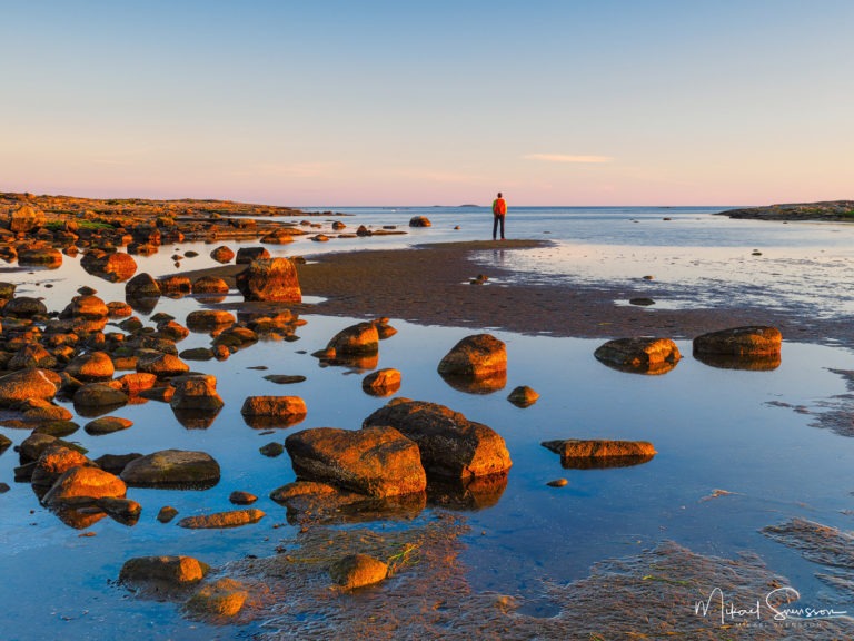 Årnäsuddens naturreservat, Varbergs kommun