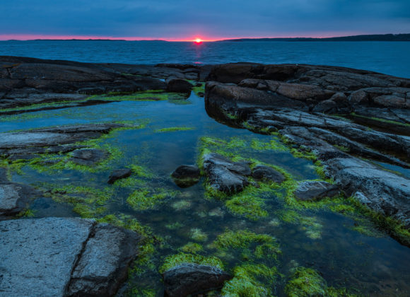 Årnäsuddens Naturreservat, Halland