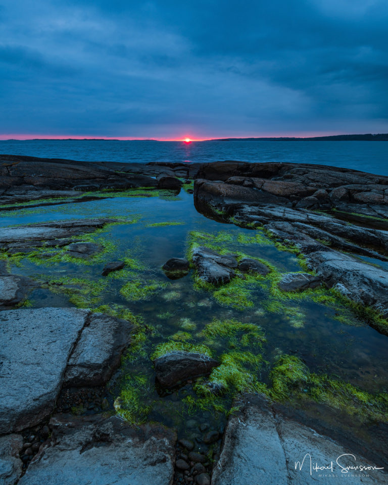 Årnäsuddens Naturreservat, Halland
